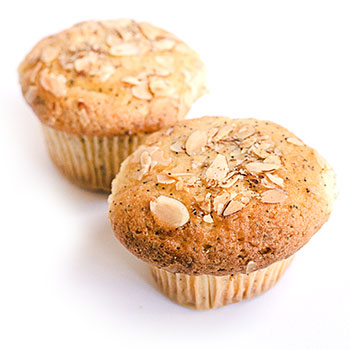 muffin italy web marketing