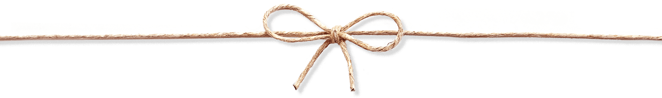 fiocco italy web marketing fiocco italy web marketing