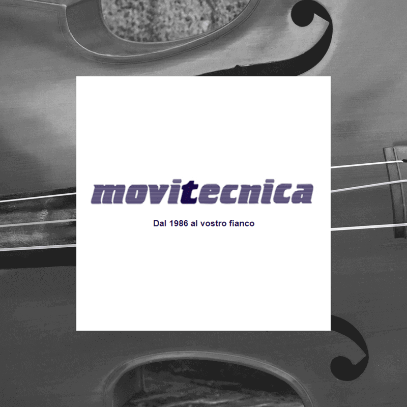 Movitcnica seo Italy Web Marketing