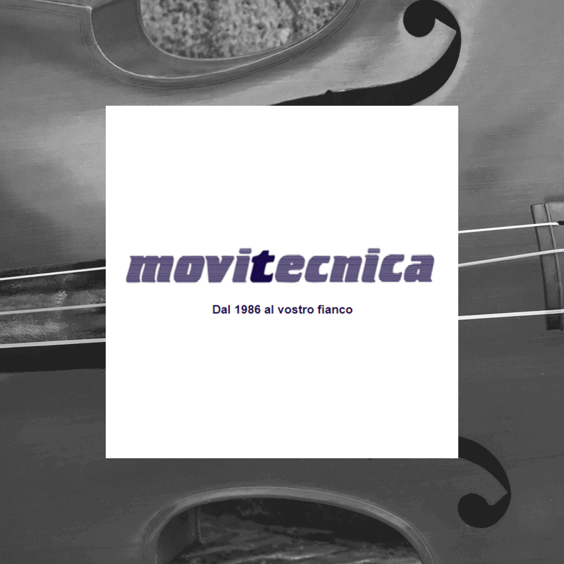 Movitecnica-Seo-Italy-Web-Marketing Movitcnica seo Italy Web Marketing
