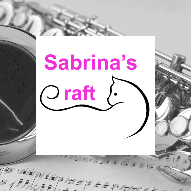 Sabrina logo gatto stilizzato