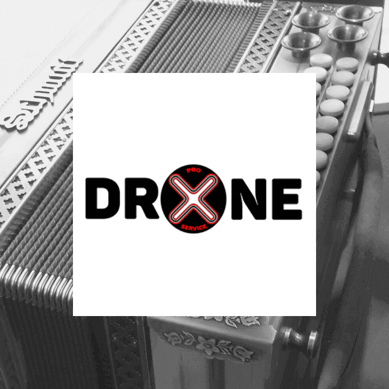 logo drone pro service italwm.com