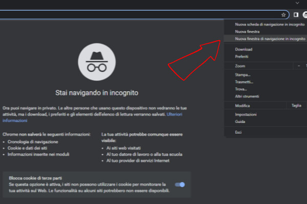 pagina Google incognito Italy WM