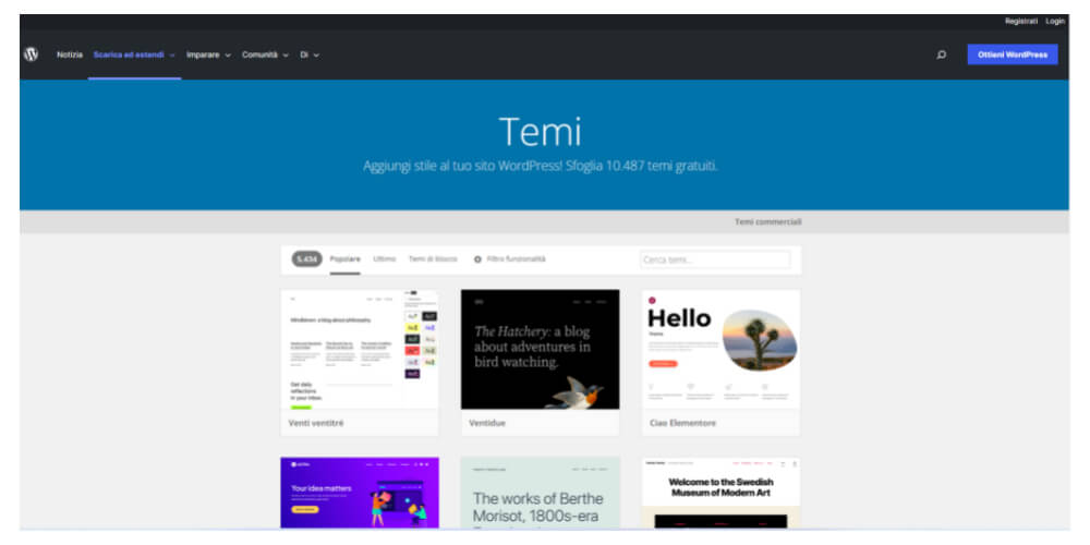 Temi di wordpress